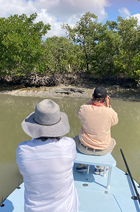 Everglade tours