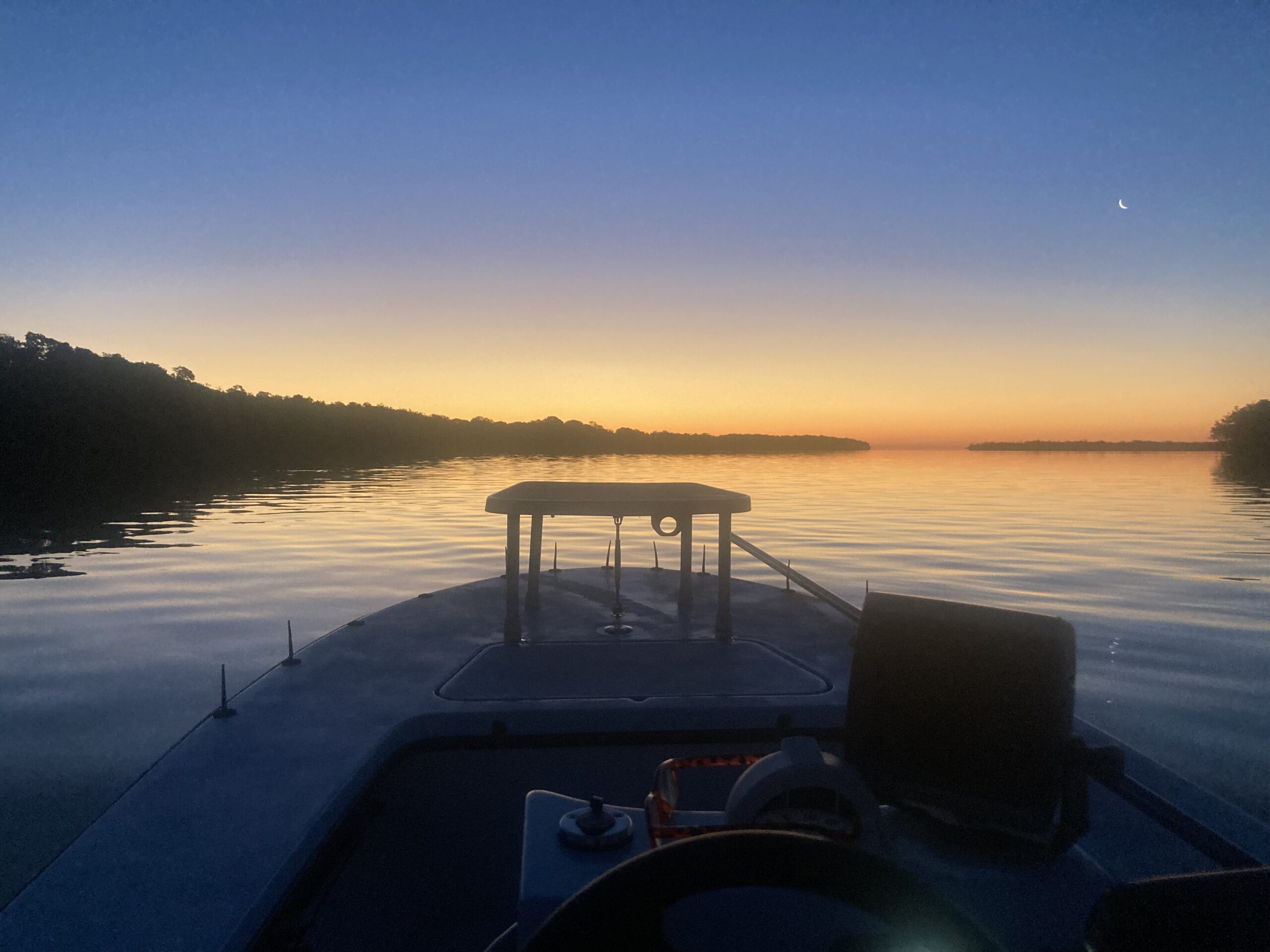Misty Everglades landscape at golden hour with cypress trees and wildlife