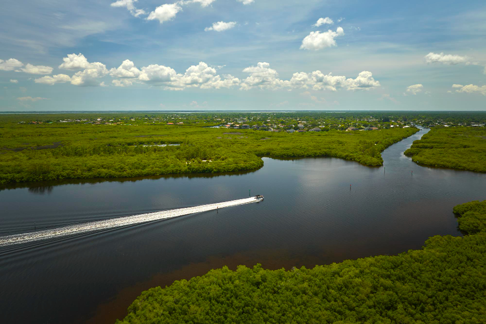 Private Everglades eco tour on a shallow-draft skiff in calm waters near Flamingo